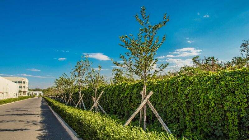 Z6·尊龙凯时「中国」官方网站